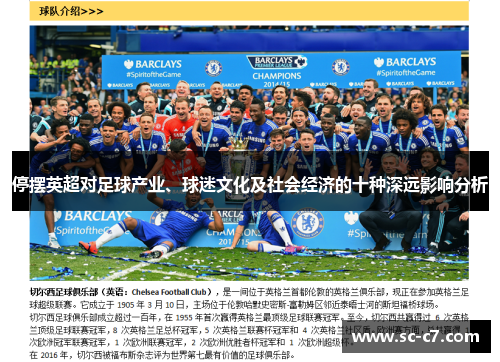 停摆英超对足球产业、球迷文化及社会经济的十种深远影响分析