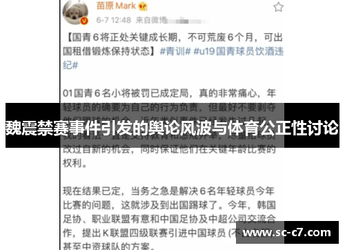 魏震禁赛事件引发的舆论风波与体育公正性讨论