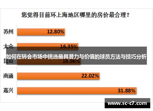 如何在转会市场中挑选最具潜力与价值的球员方法与技巧分析