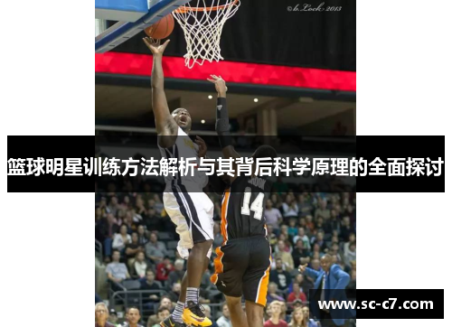 篮球明星训练方法解析与其背后科学原理的全面探讨