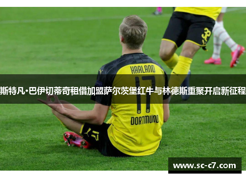 斯特凡·巴伊切蒂奇租借加盟萨尔茨堡红牛与林德斯重聚开启新征程 斯特凡·巴伊切蒂奇租借加盟萨尔茨堡红牛与林德斯重聚开启新征程