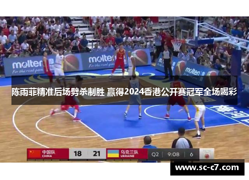 陈雨菲精准后场劈杀制胜 赢得2024香港公开赛冠军全场喝彩